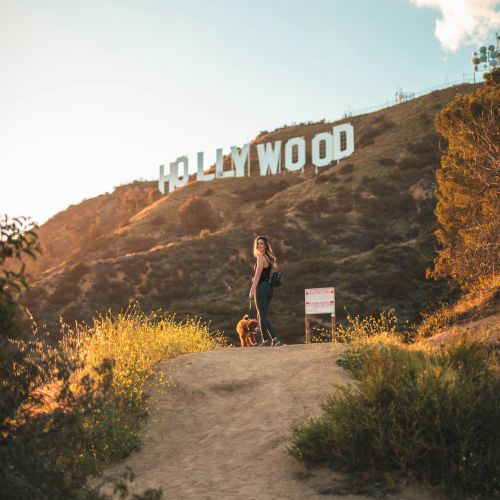 A person stands on a trail with a dog in front of the iconic Hollywood sign on a hillside, surrounded by plants and a clear sky.