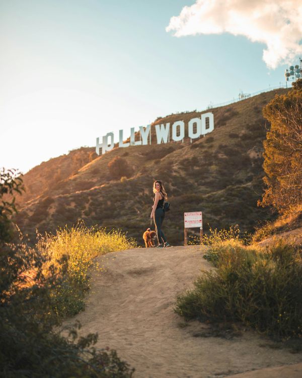 A person stands on a trail with a dog in front of the iconic Hollywood sign on a hillside, surrounded by plants and a clear sky.