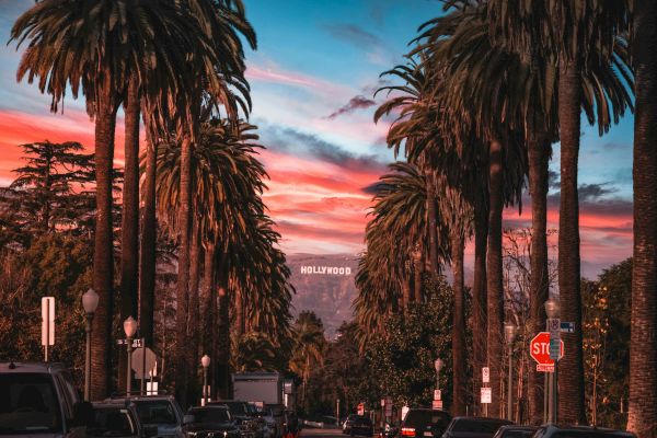 A street lined with tall palm trees leads to the Hollywood Sign in the distance, under a vibrant, colorful sunset sky.