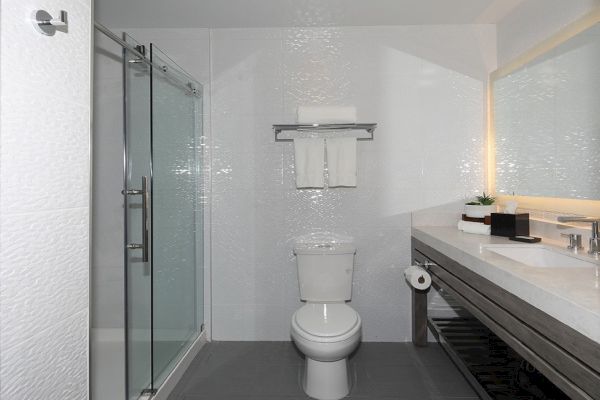 The image shows a modern bathroom with a glass-enclosed shower, a toilet, a large vanity with a sink, a mirror, and neatly folded towels.