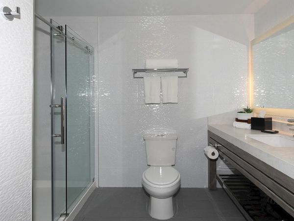 The image shows a modern bathroom with a glass-enclosed shower, a toilet, a large vanity with a sink, a mirror, and neatly folded towels.
