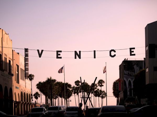 The image depicts a street in Venice, California, with a sign hanging between buildings that spells "VENICE" and palm trees lining the street.